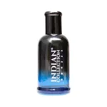 Perfume Blue Elegant Man 100ML