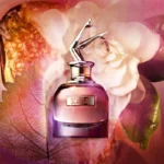 Perfume De Dama Jean Paul Gaultier 100ML