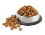 Plato De Mascota Antideslizante 18CM