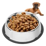 Plato De Mascota Antideslizante 18CM