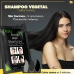 Shampoo Cubre Canas