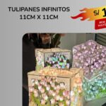 TULIPANES INFINITOS