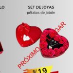 SET DE JOYAS