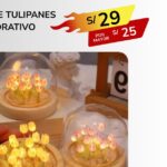 JARDIN DE TULIPANES DECORATIVO