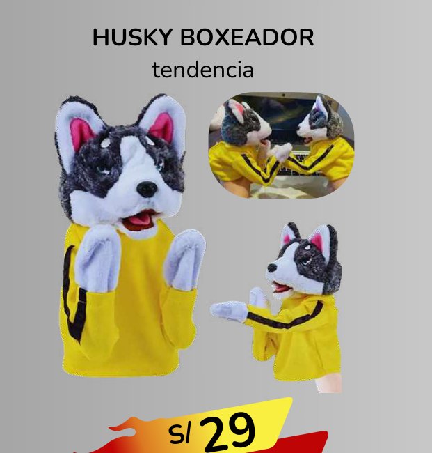 HUSKY BOXEADOR tendencia HUSKY BOXEADOR tendencia - Imagen 1