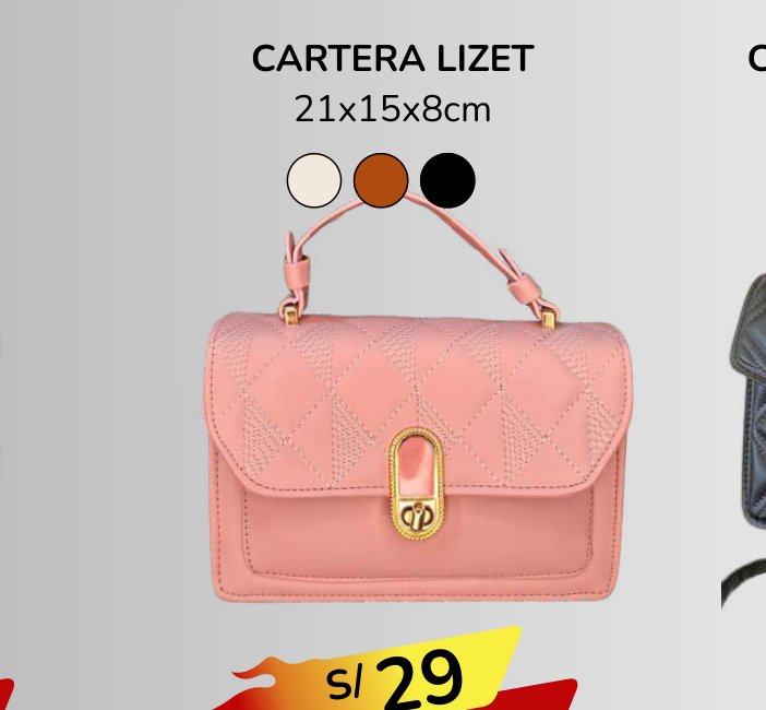 CARTERA LIZET CARTERA LIZET - Imagen 1